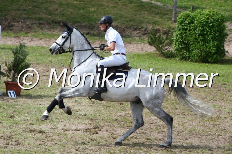 204M6491_Amaretto_Spring Mx.JPG